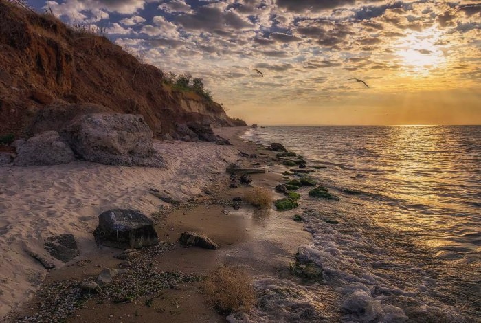 Золотой пляж Азовское море