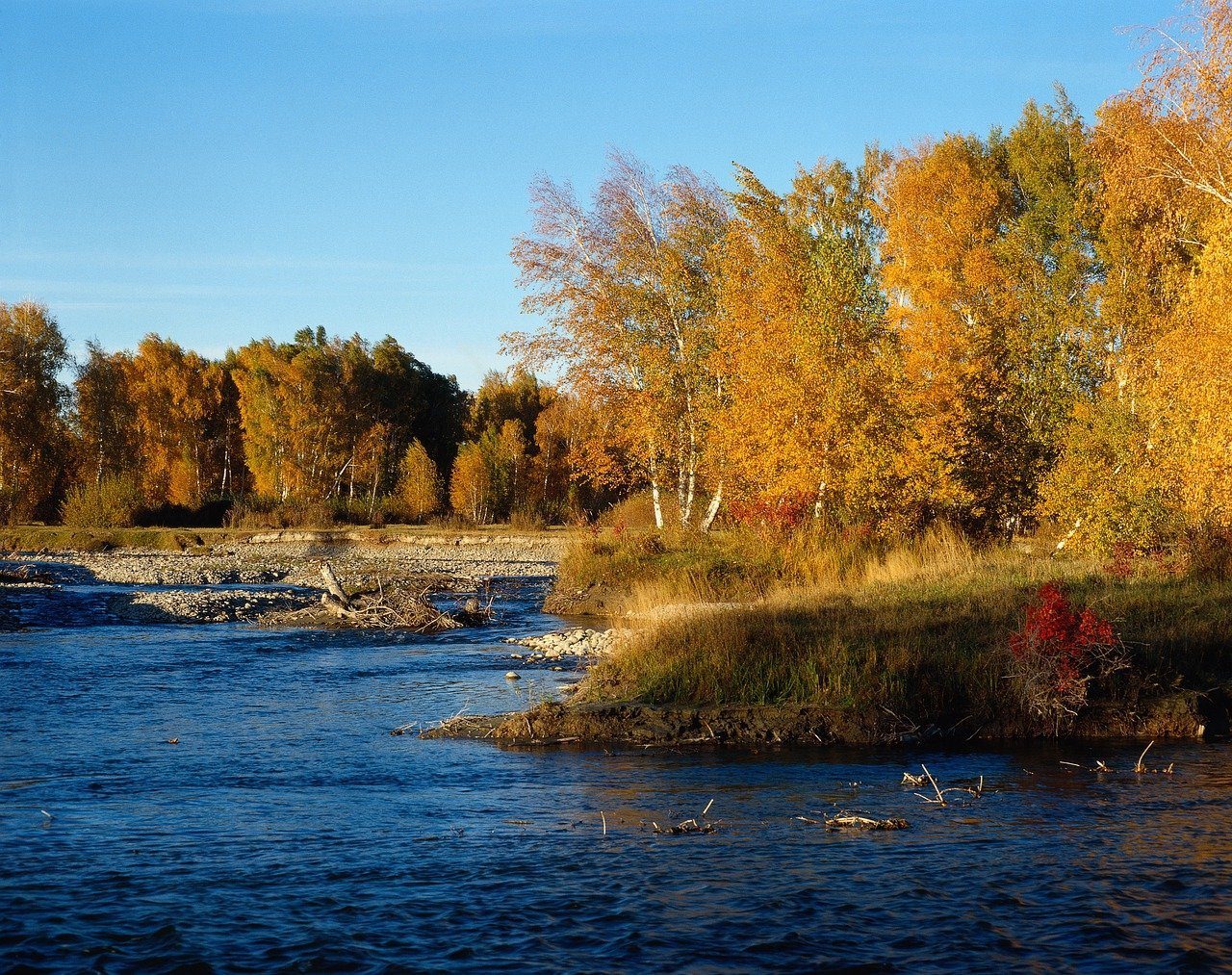 Песня на другом берегу реки. Река Тулва осень. Осенний берег реки. Берег реки осень. Берег реки осенью.