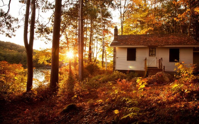 Дом в лесу осень