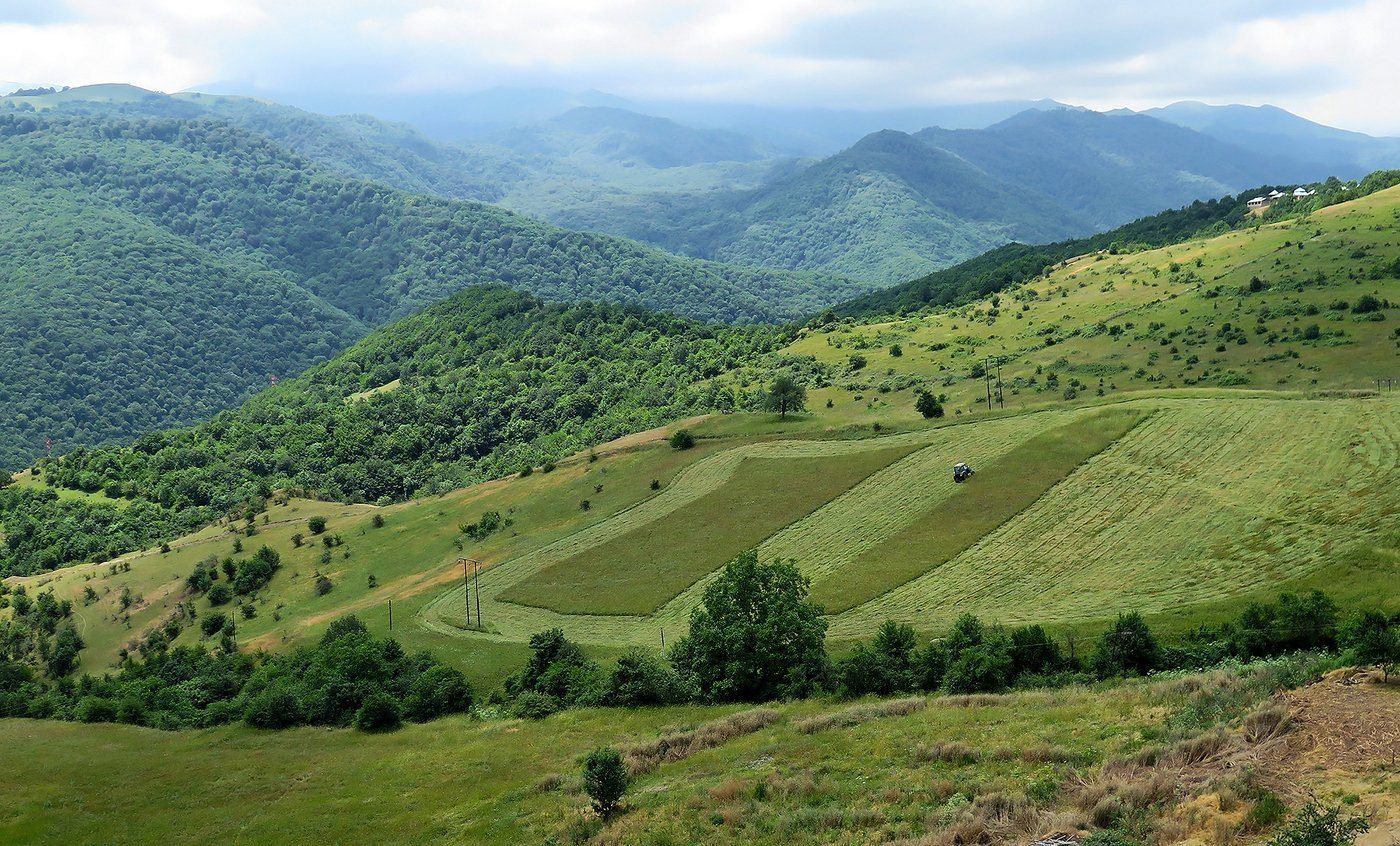 Край азербайджан. Горы Азербайджана Талышские горы. Ленкорань Талышские горы. Колхидская низменность Грузия. Ленкоранская низменность Азербайджан.