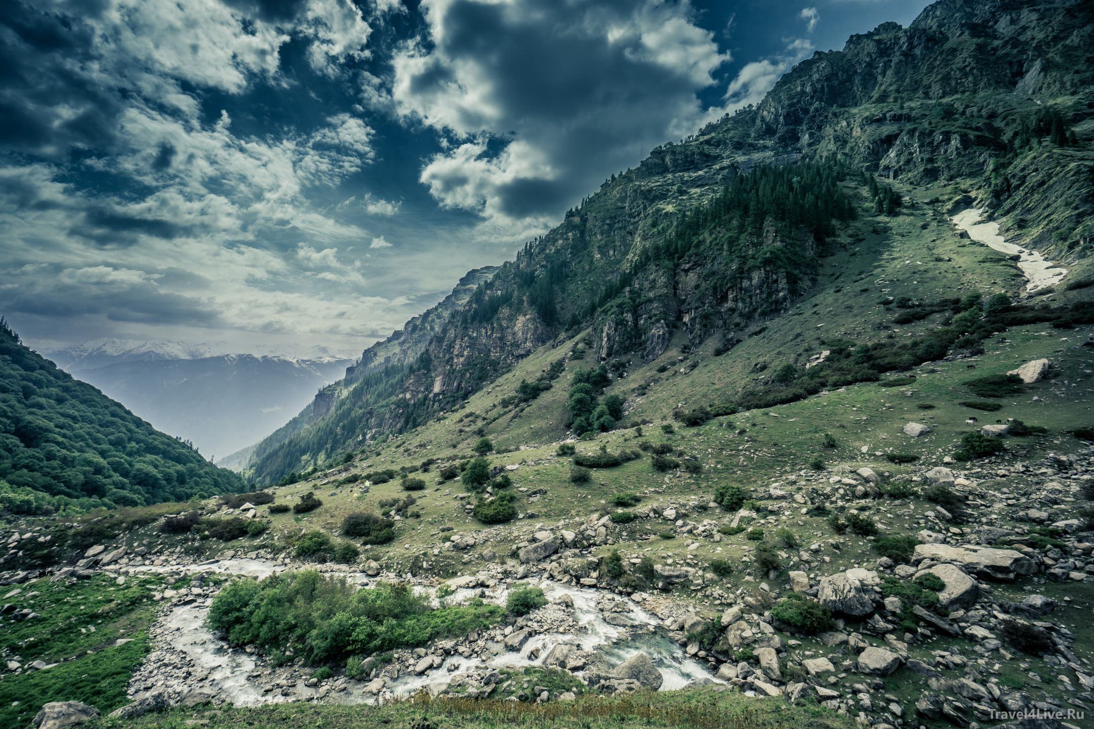 Предгорья гималаев. Штат Кашмир природа Гималаи. Пакистан Гималаи. Предгорье Гималаев. Манали горы.