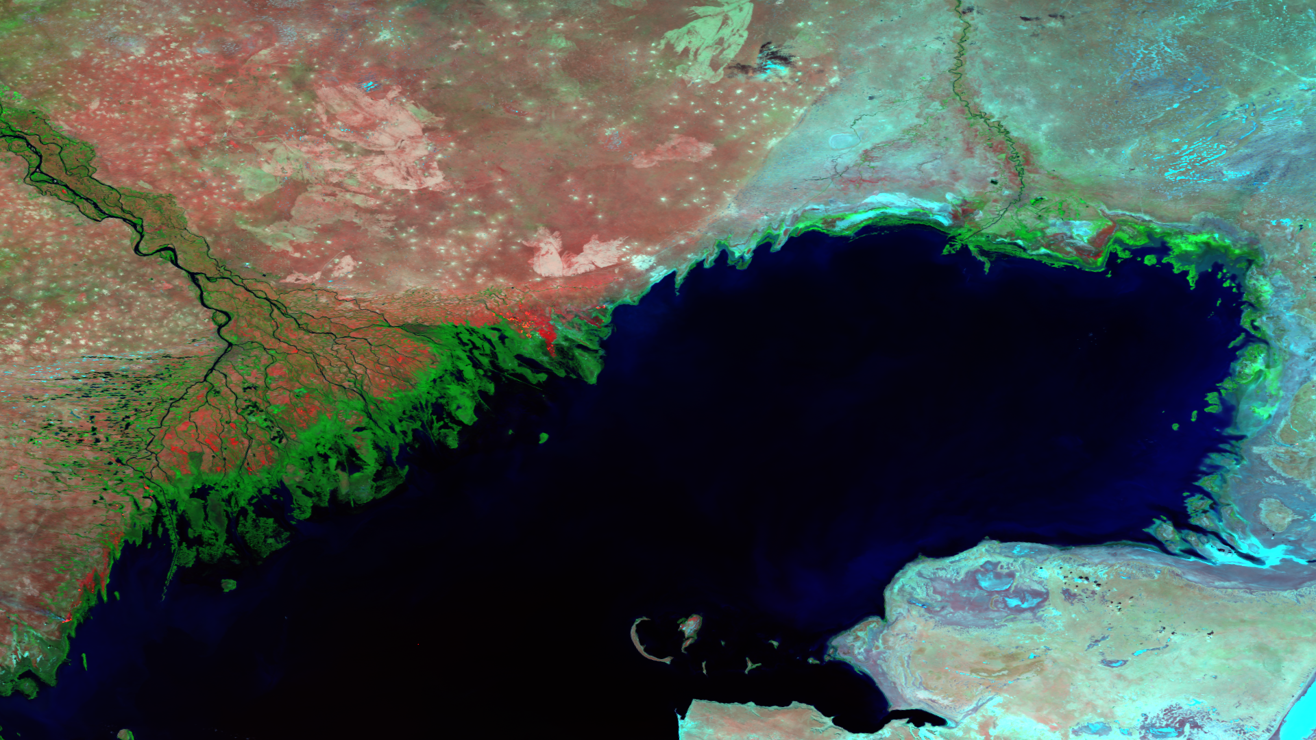 Полуостров мирового океана. Космический снимок Каспийского моря. Дельта Каспийского моря. Дельта Волги космический снимок. Рельеф дна Каспийского моря.