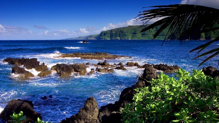 Гавайские острова море