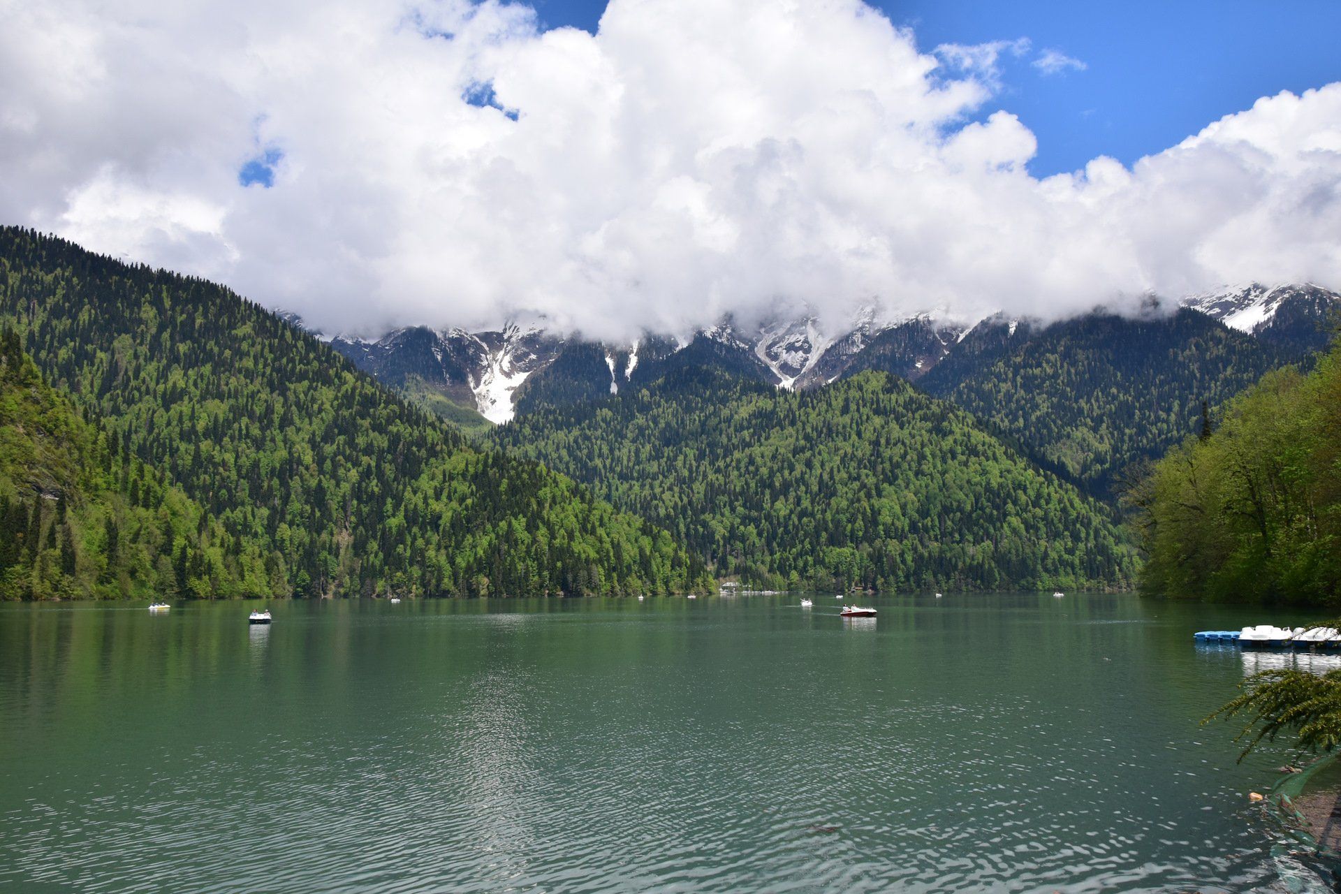 Озеро рица высота. Озеро Рица Абхазия. Абхазия Гагры озеро Рица. Рица СССР озеро Абхазия. Картина озеро Рица.