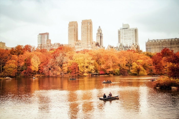 Осень в Нью Йорке Центральный парк