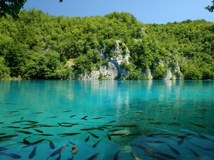 Озеро Плитвице Хорватия