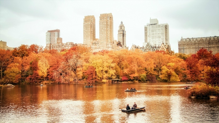 Осенний городской парк Нью Йорк