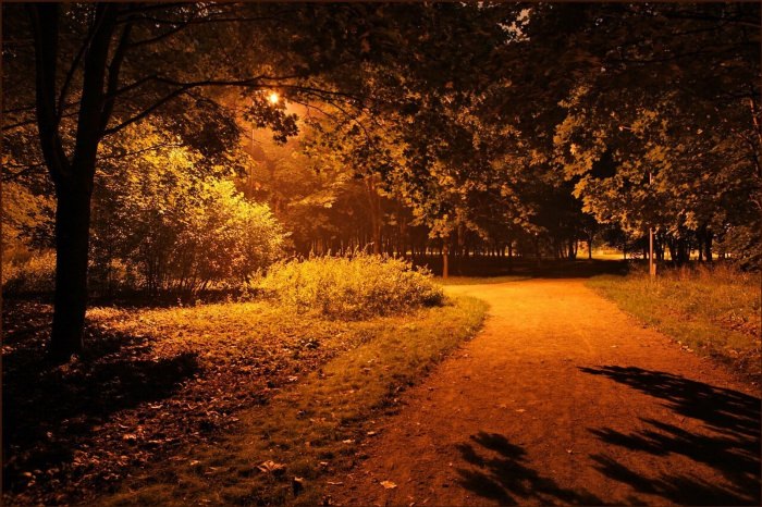 Осень вечер парк