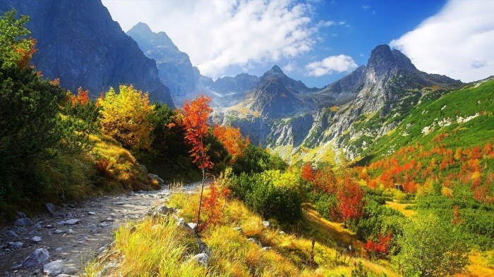 Осенний пейзаж горы