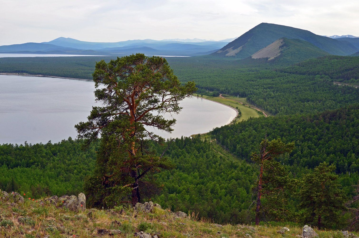 Озера вокруг байкала. Сосновый Бор Байкал. Тайга Байкал. Озеро Байкал Тайга. Река Кичера Бурятия.