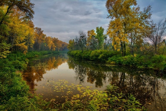 Осень река