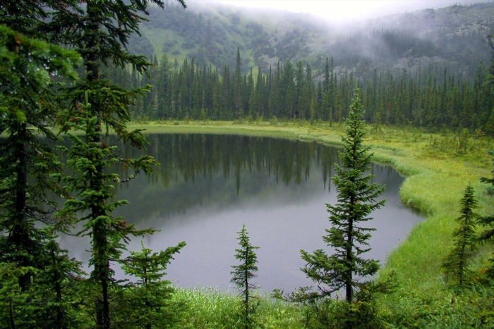 Озеро в сибирской тайге