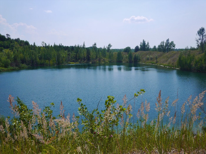 Лесное озеро Железногорск