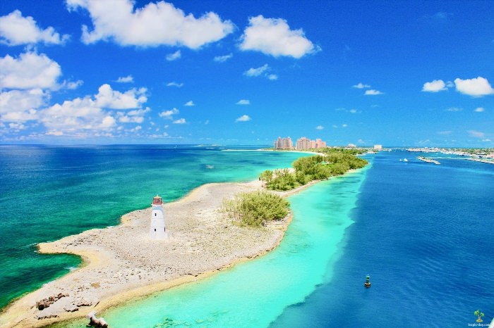 Багамские острова природа