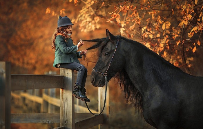 Лошади и дети осень