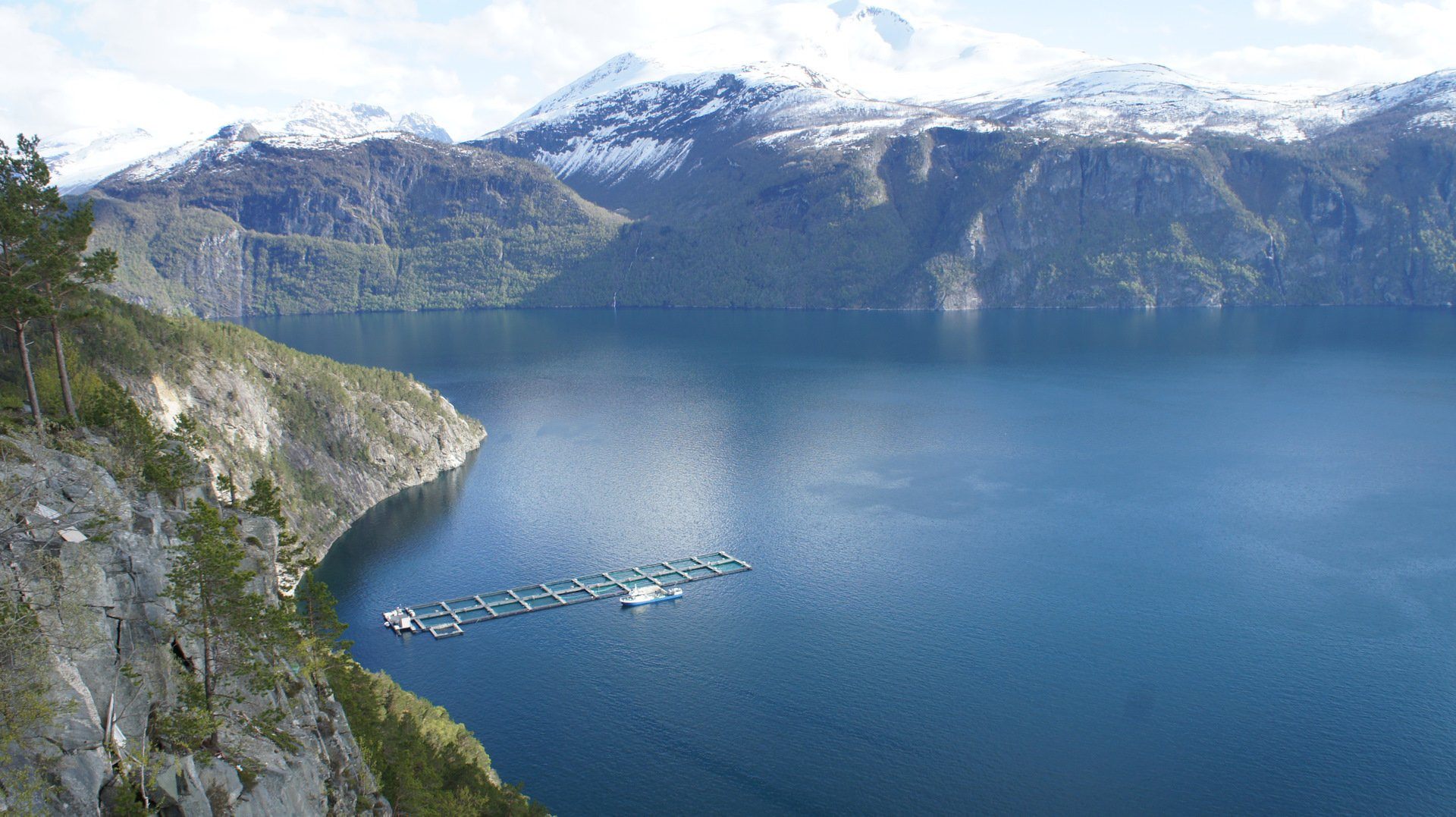 Какое самое глубокое озеро европы. Норвегия озеро МЬЕСА. Озеро Фемунн в Норвегии. Нур Фьорд Норвегия. Норвегия озеро Хорниндальсватнет.